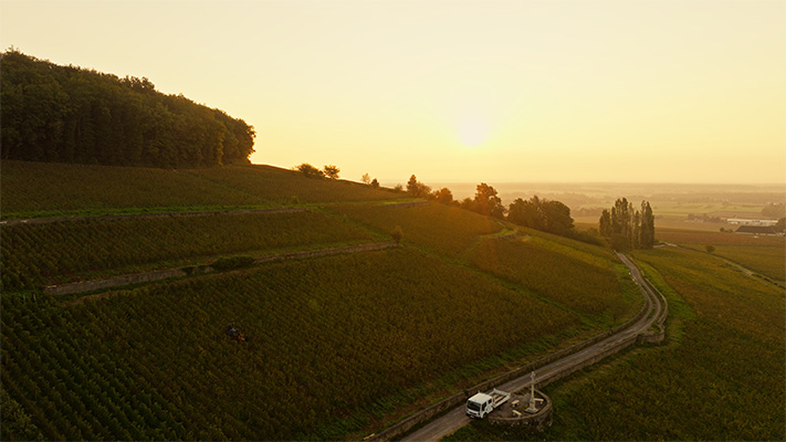 bourgogne-oenospheres-film-promotionnel-vignes.jpg